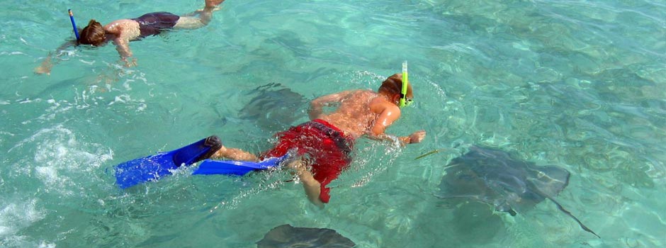 Shark Ray Alley Belize