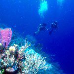 Hol Chan Marine Reserve Belize Hol Chan Marine Reserve Belize