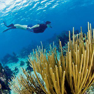 Hol Chan Marine Reserve Belize